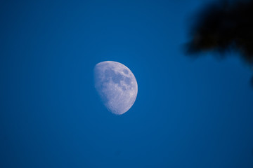 Moon © Piotr_Kardas