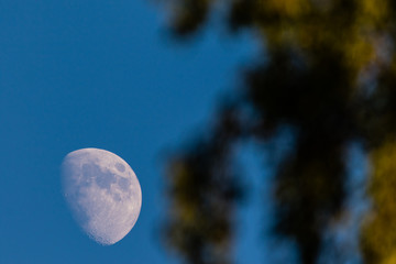 Moon © Piotr_Kardas