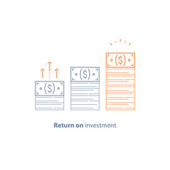 Financial strategy, income increase, return on investment, fund raising, long term increment, revenue growth, stock market