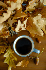 bouquet of oak leaves and a cup of tea