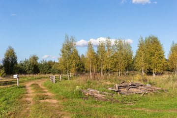 Fototapeta premium rural landscape in early autumn