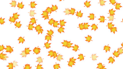 A lot of autumn leaves on a white background