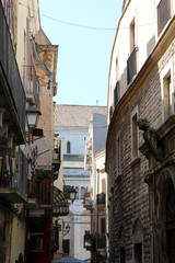 alley bari 
