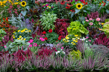 Wall of flowers and herbs.