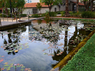 Fototapeta na wymiar Water pond in the middle of Sarona area Tel Aviv Israel