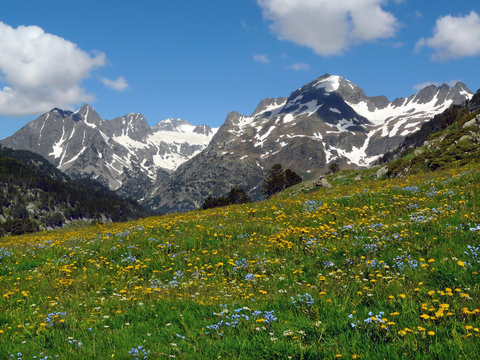 Valle de Benasque. Pirineo aragon&eacute;s. 