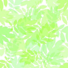 The pattern of spring green transparent leaves on a white background, you can use for textiles, background cards, napkins, wrapping paper and more.