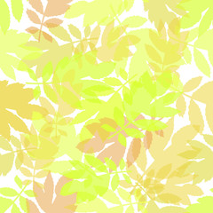 The pattern of autumn yellow transparent leaves on a white background, you can use for textiles, background postcards, napkins, wrapping paper and more.