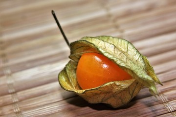 Autumn is harvest time for fruit.Whether it is important for a healthy diet it provides the body...