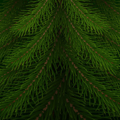 Christmas tree background. Fir tree realistic branches
