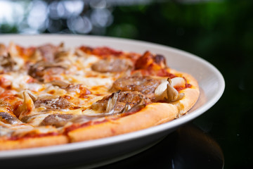 Fresh pizza with tomatoes, cheese and sausage