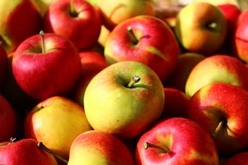 Viele reife Äpfel