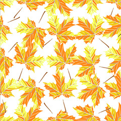 Naklejka na ściany i meble Pattern of autumn yellow maple leaves on a white background. It can be used for printing in textiles, on napkins, wallpaper and other works on the theme of autumn.