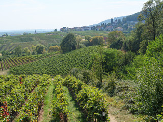 Die Pfalz © Stephan Sühling