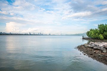 Shenzhen Bay Park Beach Scenery