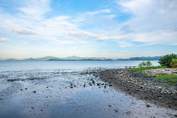 Shenzhen Bay Park Beach Scenery
