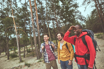 Fototapeta premium Arriving to camp. Positive guys standing in woods and looking up for their holiday campground
