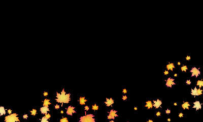 Fototapeta premium autumn leaves on a black background