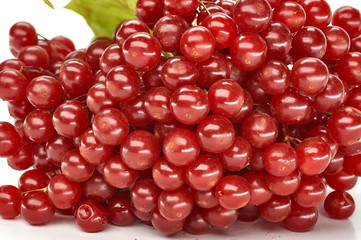 Bunches of red berries, red currant or rowanberry in the first plan. Cabbage, kale and lettuce on the second plan