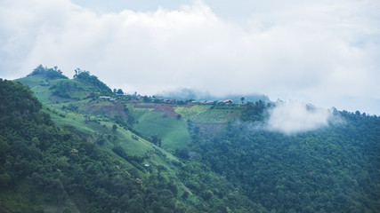 Fototapeta premium Landscape image of greenery rainforest and hills on foggy day