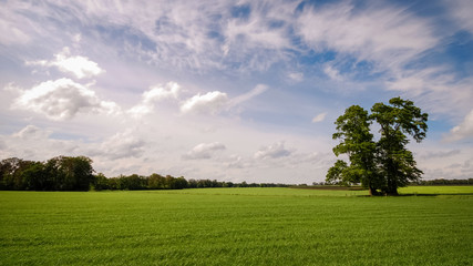 Looking across lush fields near Delden in the region of Twente (Overijssel, The Netherlands). This region has a lot of these landscapes, mostly with farms. It's in the eastern part of the Netherlands