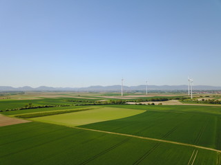 Wind turbine in field