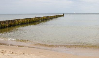 Fototapeta na wymiar Sea landscape. View of the Baltic sea.
