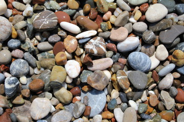  wet sea stones