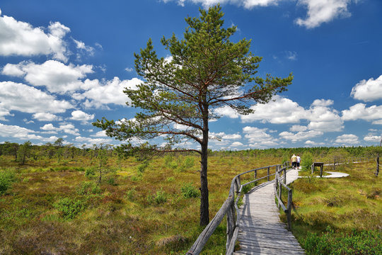 Schwarzes Moor in der Rh&ouml;n