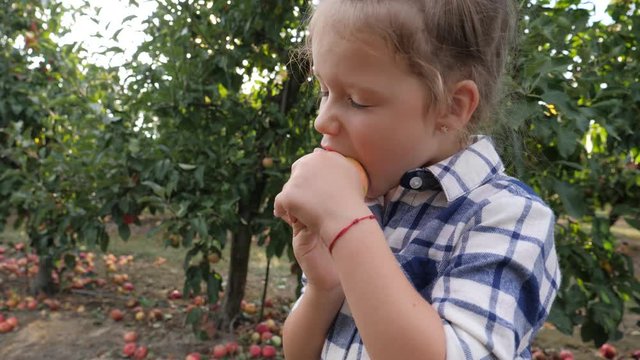 Cute child girl stay eating biting ripe apple outdoors in fruit tree garden