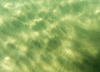 seabed, underwater photography