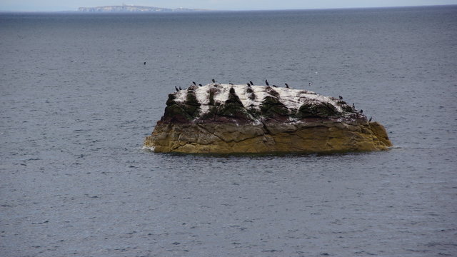 Vogelfelsen
