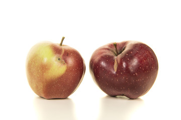 Two biological, organic, red apples with some small faults on a white background - obrazy, fototapety, plakaty