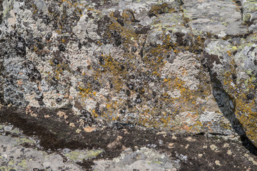 natural stone texture