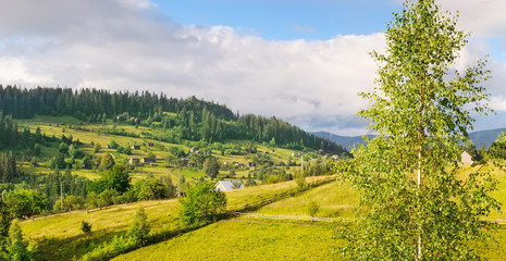 Fototapeta premium Slopes of mountains and clouds in the evening sky. Location place Carpathian, Ukraine, Europe. Concept ecology protection. Wide photo.