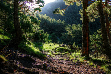 andorra hills