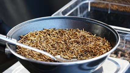 frying pan full of roasted mealworms at street food market stall, Entomophagy protein snack, insects as food, selective focus with shallow depth of field