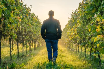 Zelfklevend Fotobehang Jonge boer en zakenman staan zijn wijngaard te bewonderen © legedo