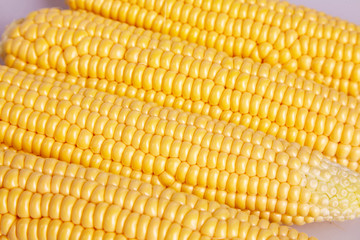 Fresh yellow corn cobs close up. Fresh vegetables.