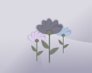 flowers with shadows