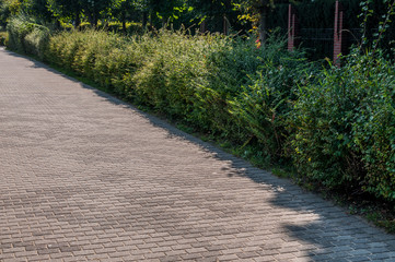 Chodnik z kostki brukowej, Sopot © olekgraf