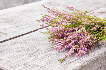 Bouquet of purple scotch heather bush (Calluna vulgaris, erica, ling, also called Ling plant on moorland) on a grey old wooden background