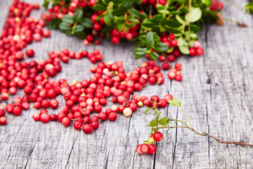 Vaccinium vitis-idaea (berries of wild cowberry) on a wooden natural background