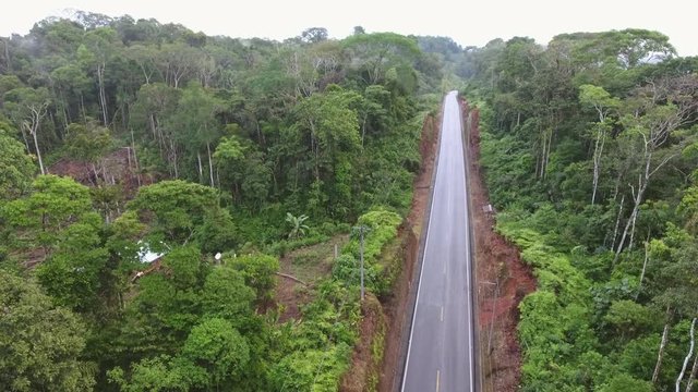 Flying over an Amazonian highway in Ecuador and a clearing made by a subsistence farmer. Roads bring colonization and destruction of the rainforest to the Amazon Basin.