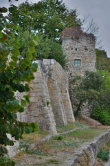 Fototapeta na wymiar Alte Stadtmauer mit Wehr Turm