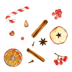 Christmas spices set. Watercolor clip art isolated on white.