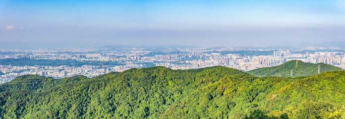 Shenzhen panoramic scenery