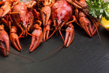 Boiled cooked crayfish crawfish ready to eat on black background. Copy space.
