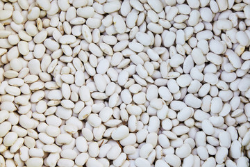 Haricot, white pea, raw common beans, white kidney  beans texture background or pattern. Raw legume food.