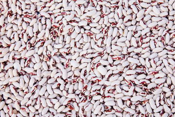 Delicious mottled, raw common beans, haricot, white pea, white kidney  beans texture background or pattern. Raw legume food.